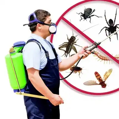 pest control Tularosa